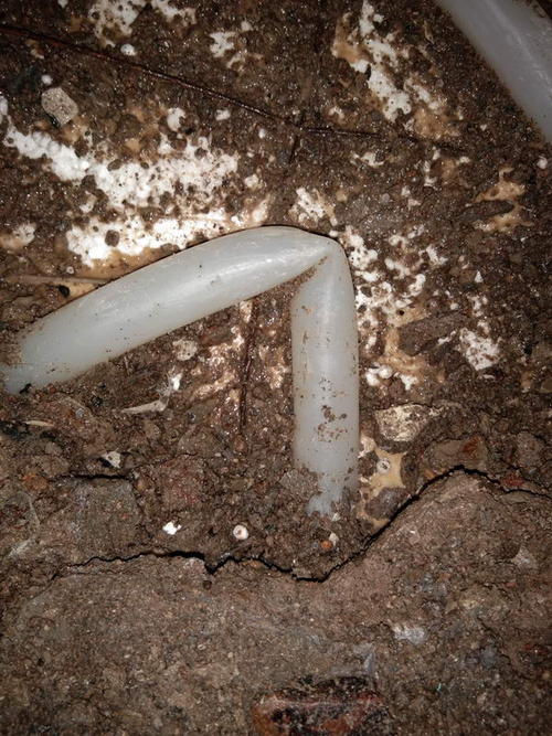 沧县堵点精准查找